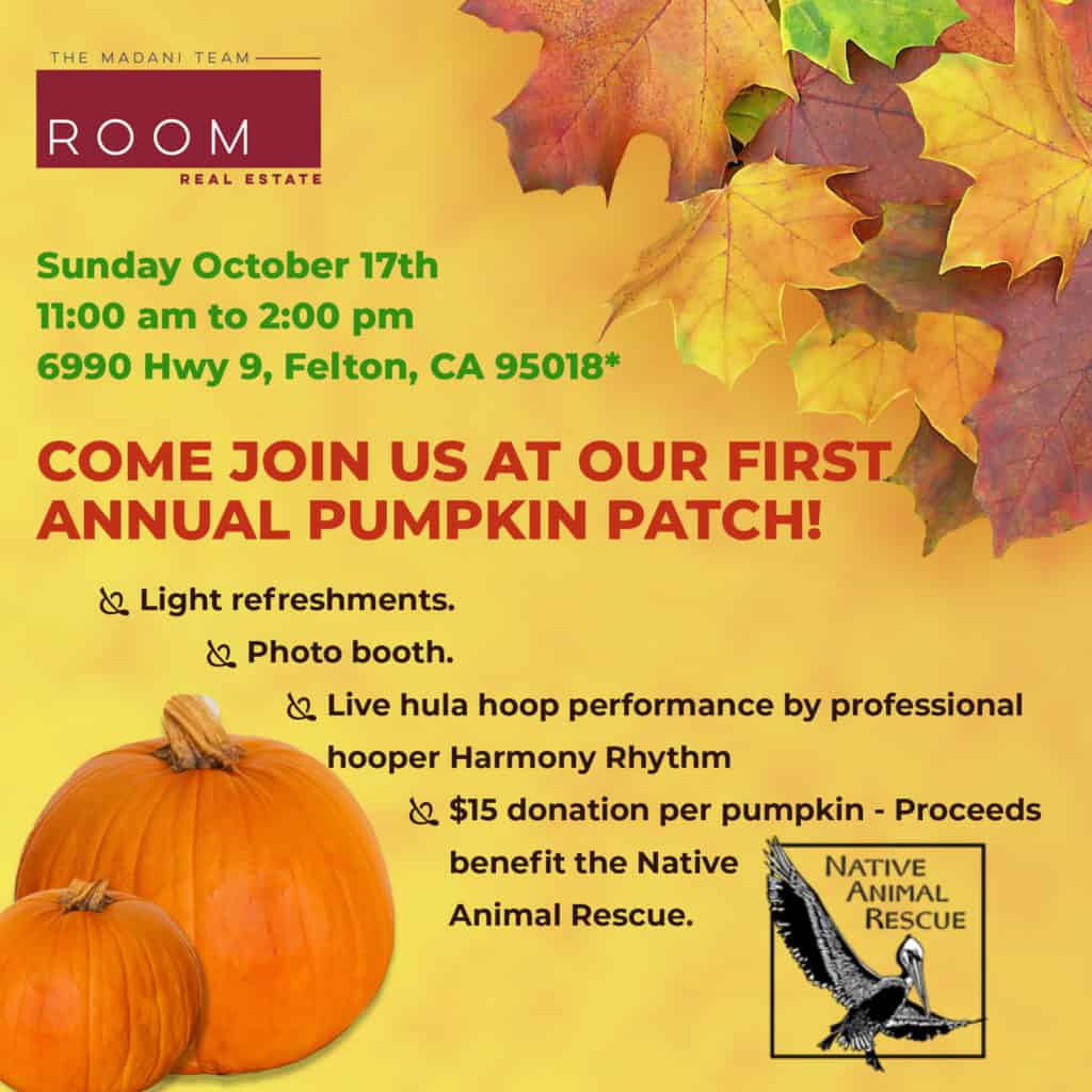 Photo of a pumpkin patch flyer
