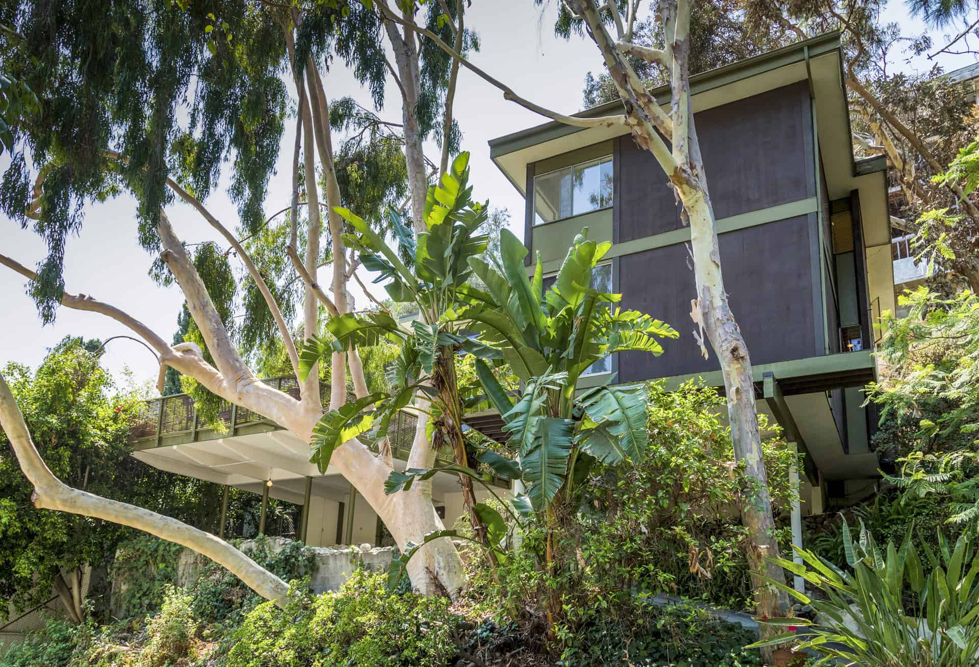 100%Sierra Alta Way 1_ErbeBlackham_midcentury_Hollywood_Hills_1341_Sierra_Alta_Way