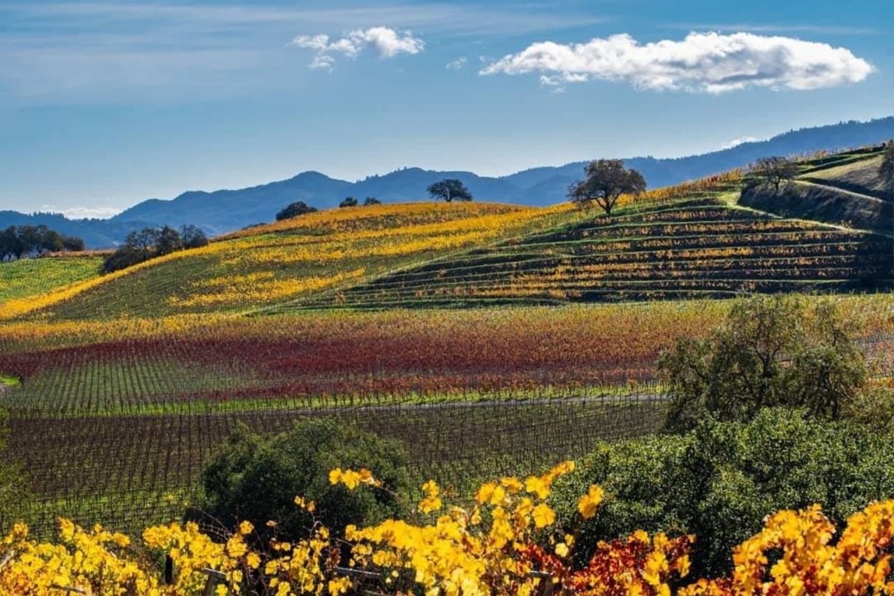 Visit Napa Valley on a trip to California