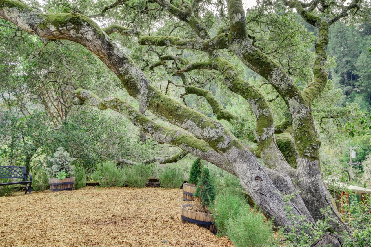 45 Arroyo Road For Sale in Forest Knolls Marin County Real Estate Agent