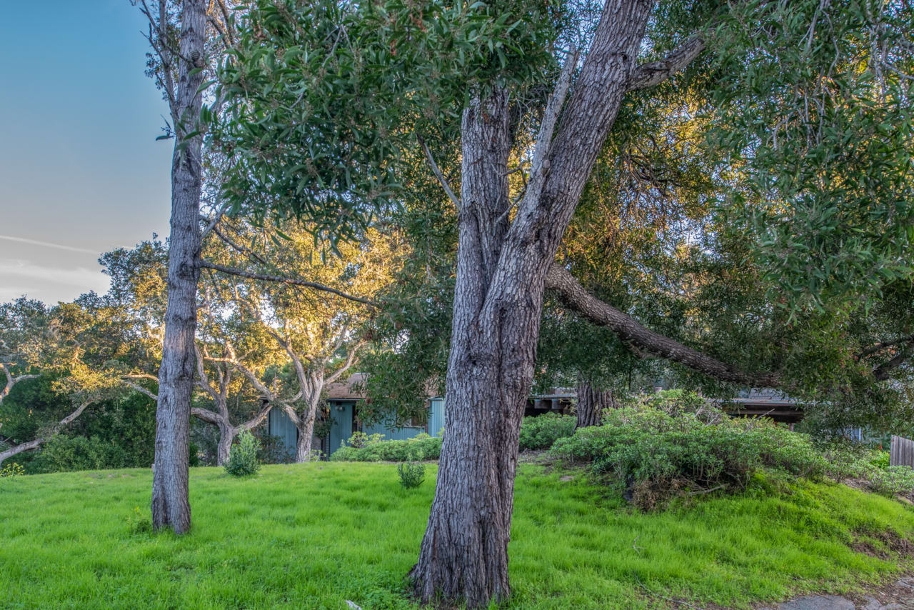 Downtown Carmel Lot For Sale Mission 3 NE of 10th, Carmel by the Sea