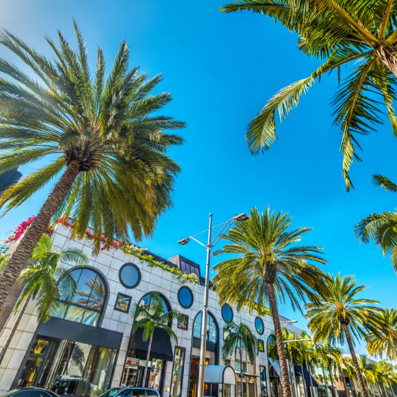 Beverly Grove Area Guide