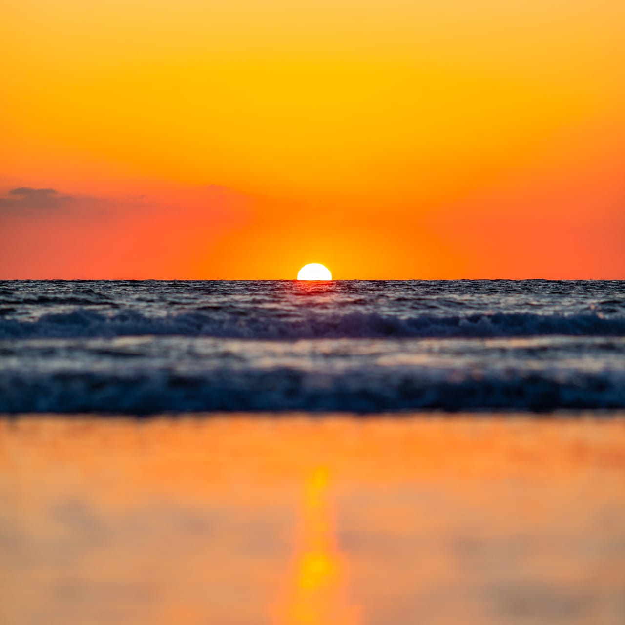 Sunset Park Market Overview