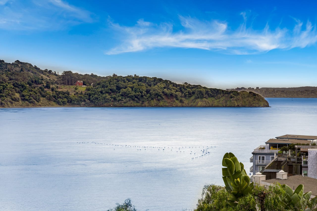 Picturesque Views of San Francisco Bay & Angel Island