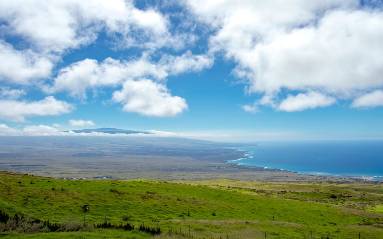 Kohala