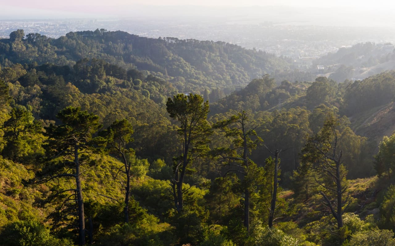 Orinda