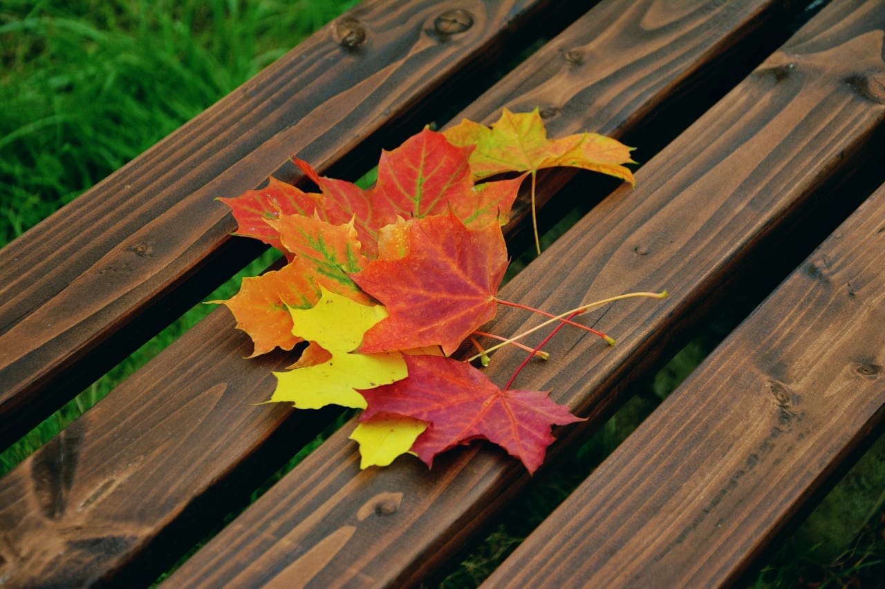 Get Your Home & Lawn Ready For Fall