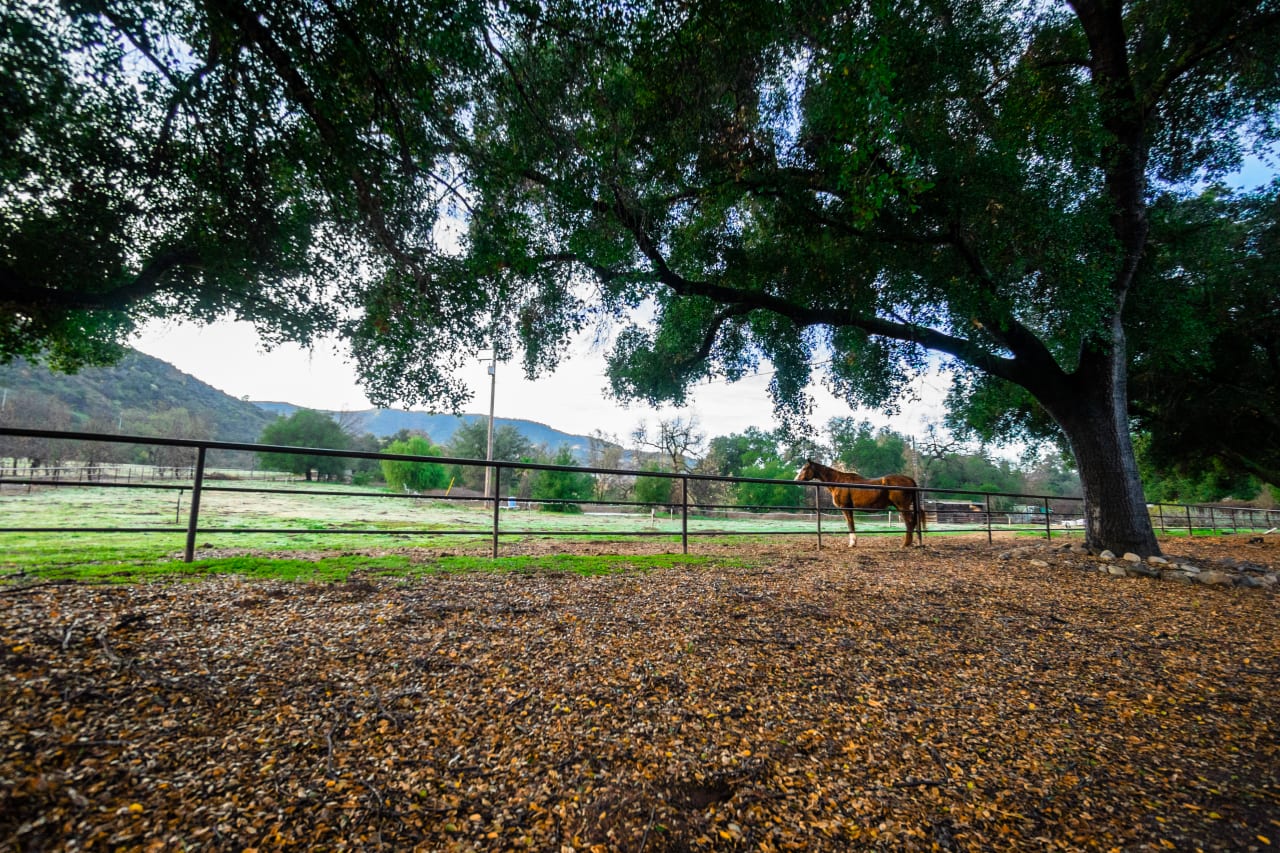 Exclusive 940+/ Acre Ojai Ranch Trey Evans Santa Barbara Real