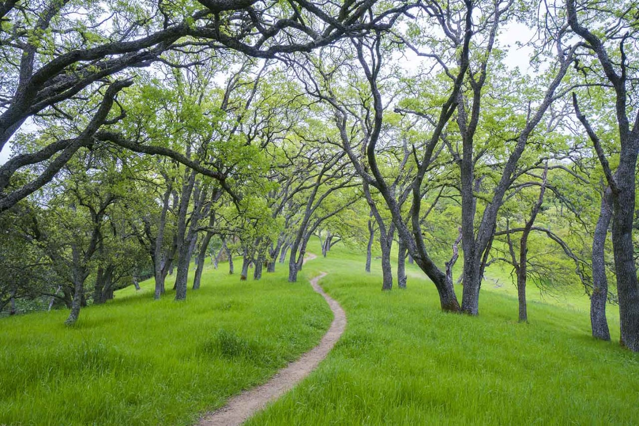 Almaden Valley