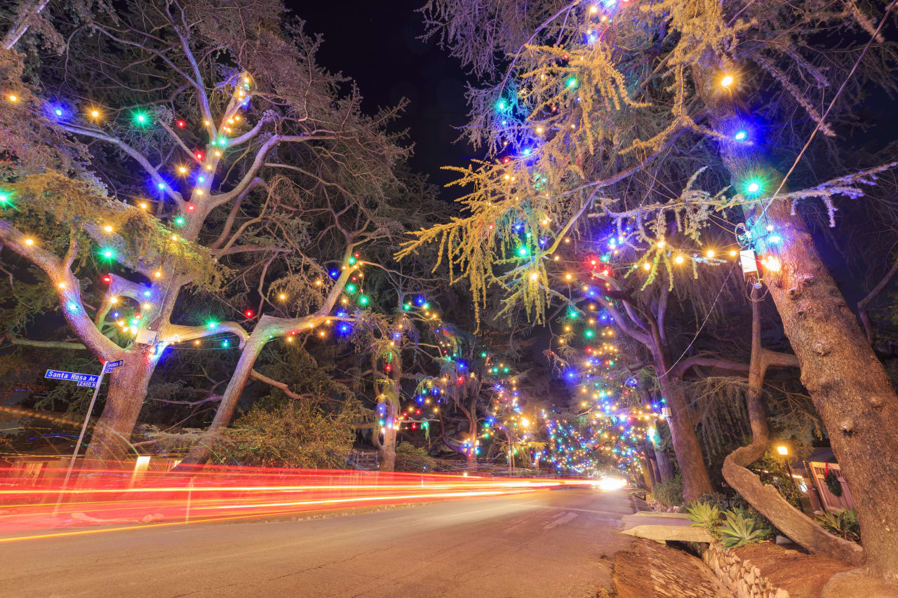 Christmas Tree Lane