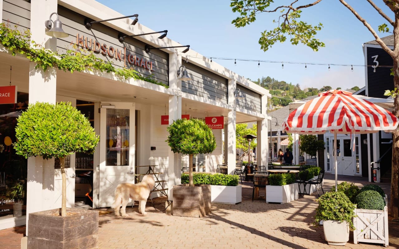 Larkspur Community Guide Donna Goldman Marin County Real Estate Agent