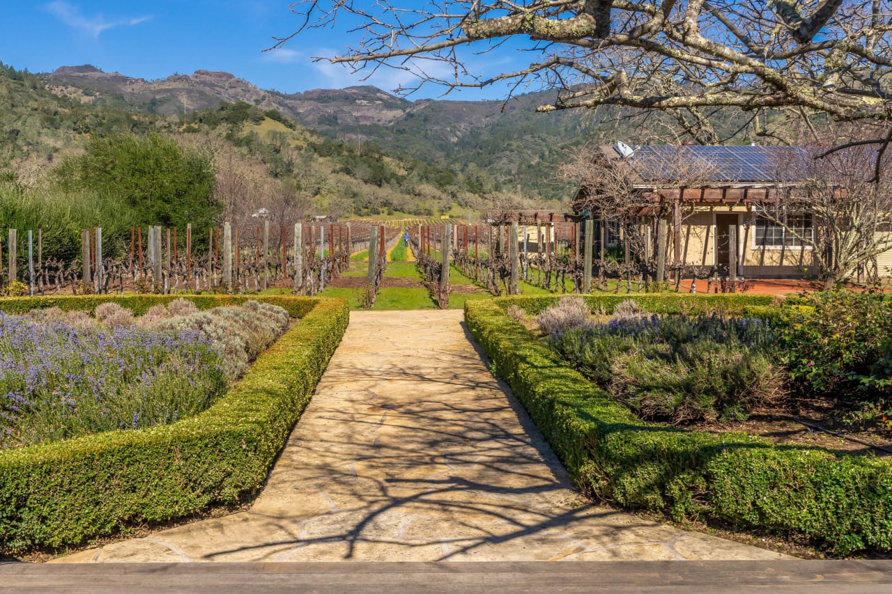 Vineyard Paradise - SOLD