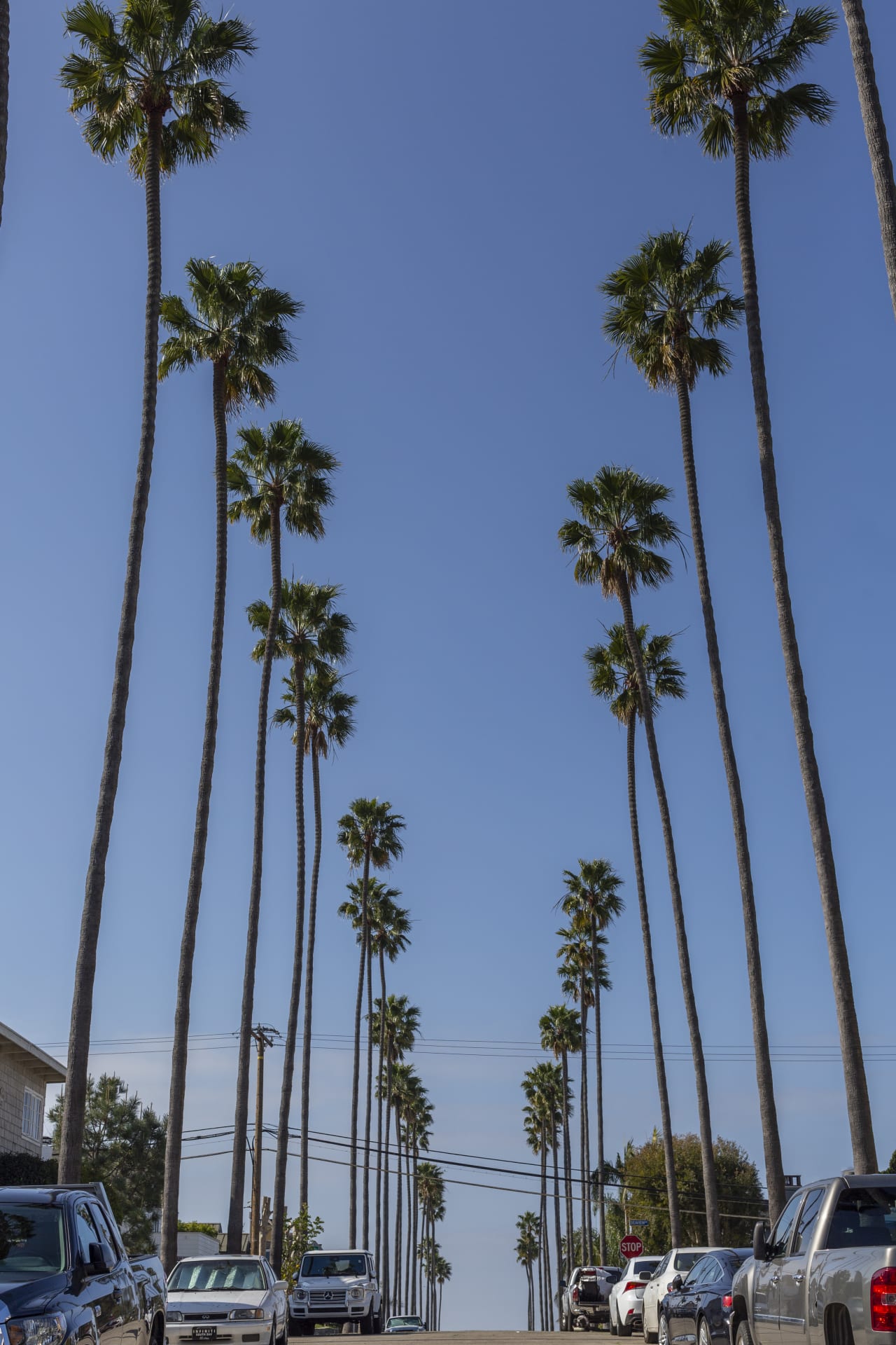 315.5 Goldenrod Avenue VALIA Properties Corona del Mar Luxury Real