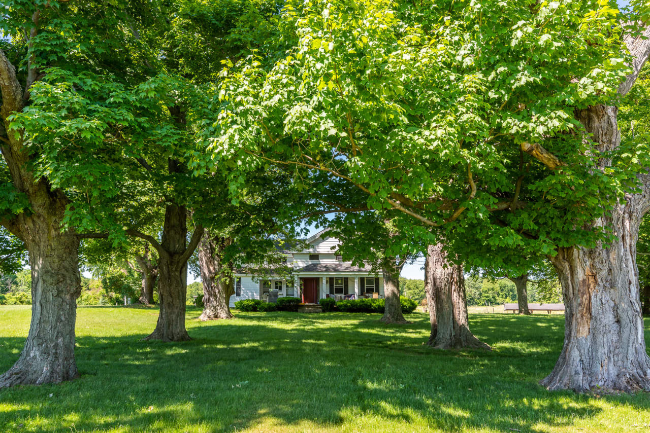 Fuller Farm Homestead