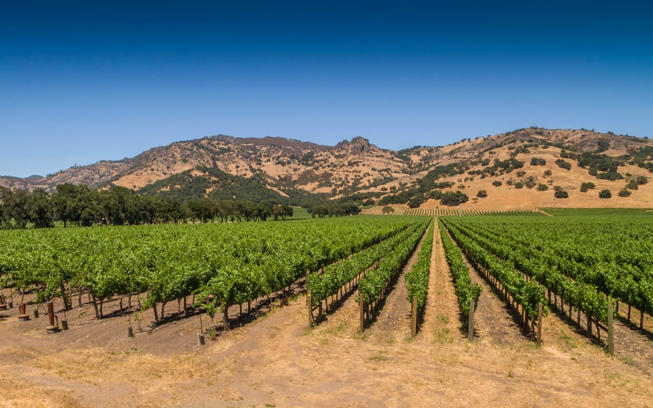 Stag’s Leap Estate Sold Sotheby's International Realty