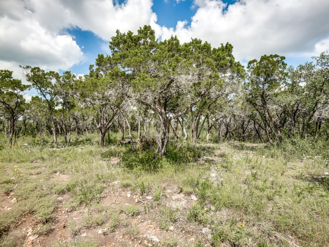 LOT 35, BLK 10, Summit Ridge Unit 3 Mico, TX 78056