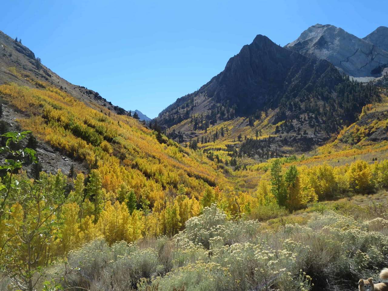 Exploring McGee Creek A Spectacular Fall Adventure Mammoth Lakes