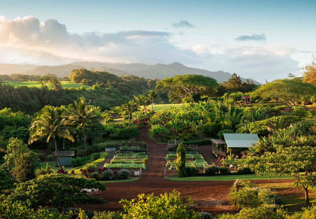 Kukui'ula