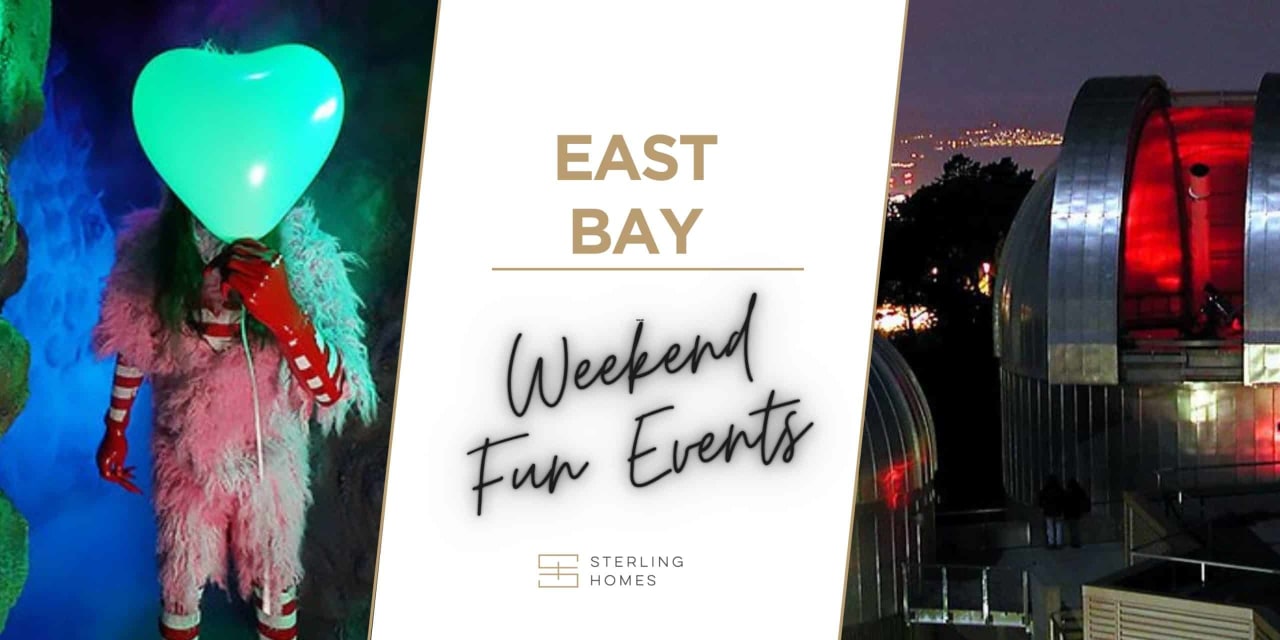 Check out these fun events in the East Bay this weekend: February 11-13