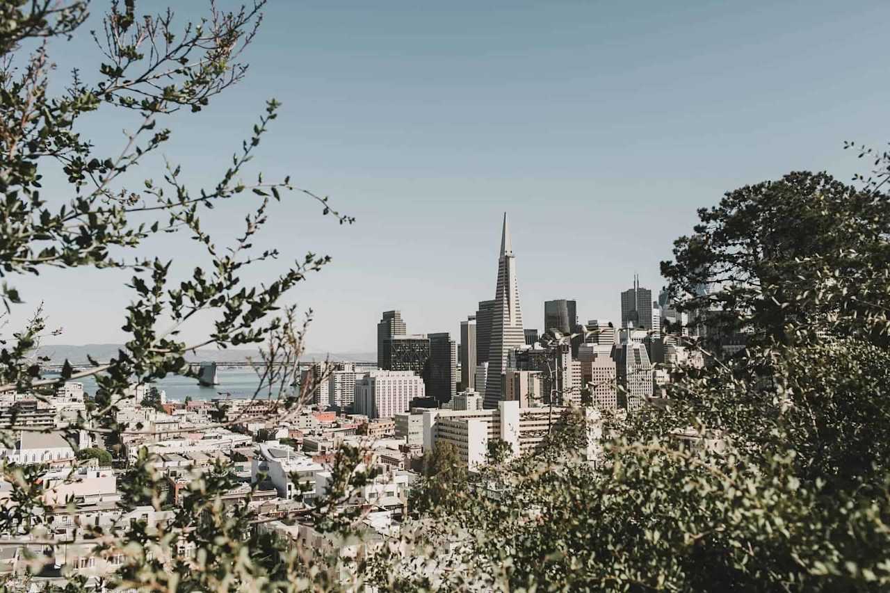 Chain Reaction Making Sense of Changing SF Bay Area Real Estate