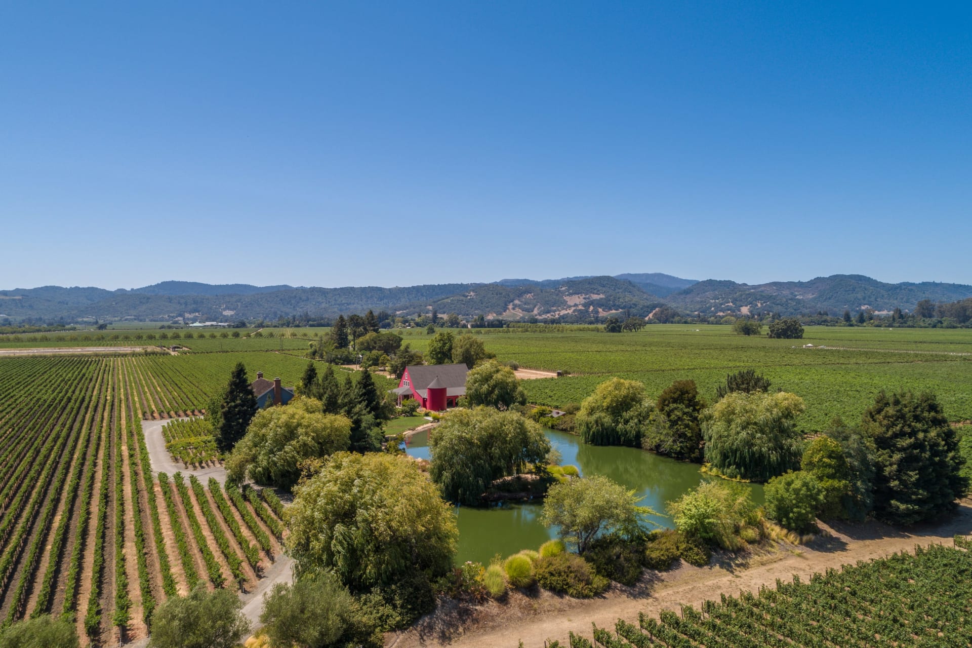 SOLD Oak Knoll Vineyard Estate Ginger Martin + Co