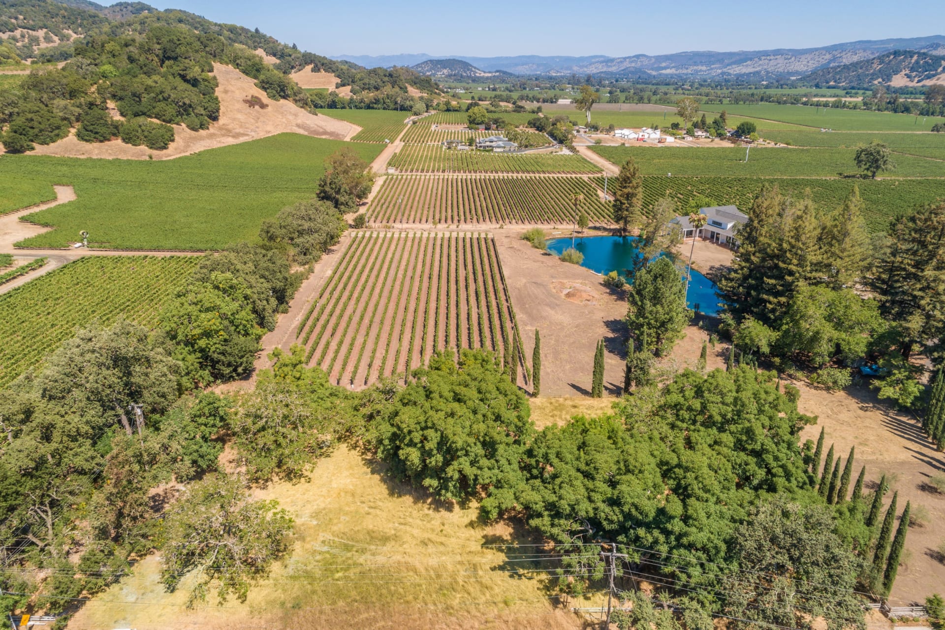 Yountville Vineyard View Ginger Martin & Co Sonoma & Napa Valley