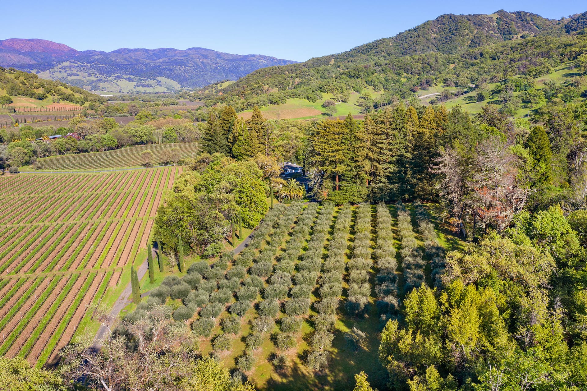 2002 McNab Ranch Rd. Kevin McDonald Sonoma & Mendocino County Real Estate