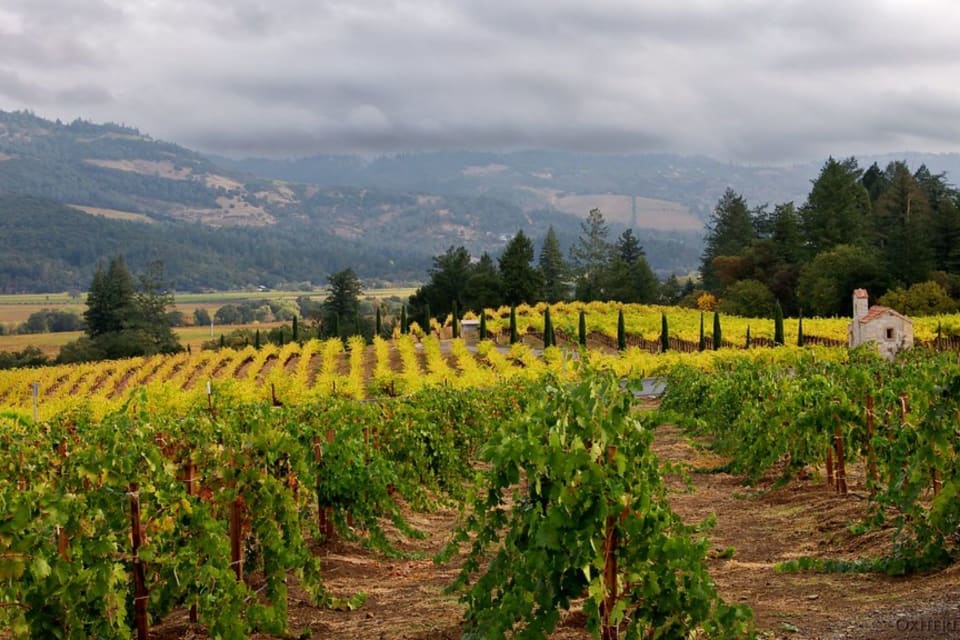 Napa Valley Luxury Lifestyle Yvonne Rich Exclusive Estates