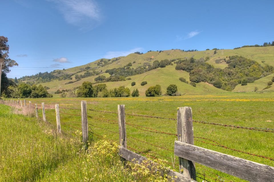 West Marin Real Estate Community Guide The Bernard Link Group