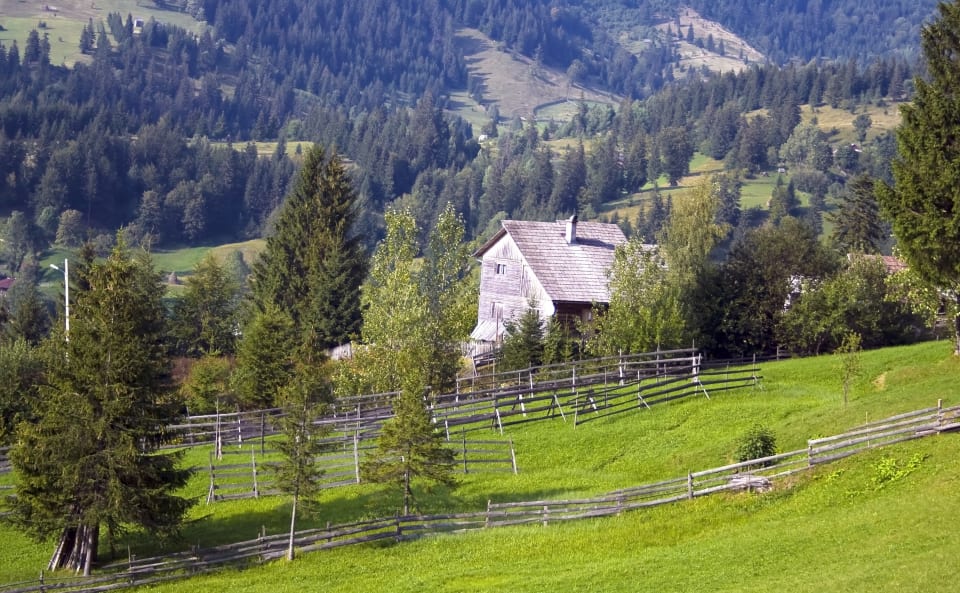 Living in Woodacre, CA Neighborhood Guide Shana RohdeLynch