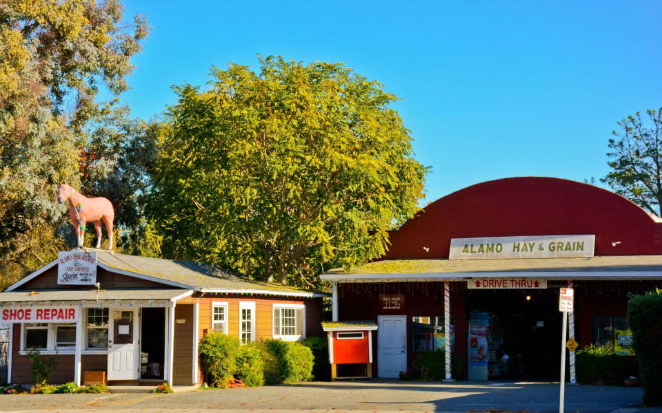 Alamo Real Estate Homes for Sale in Alamo, CA