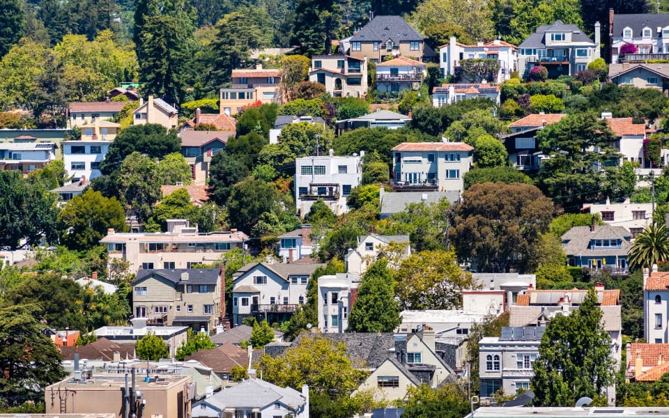 Berkeley Neighborhood Guide