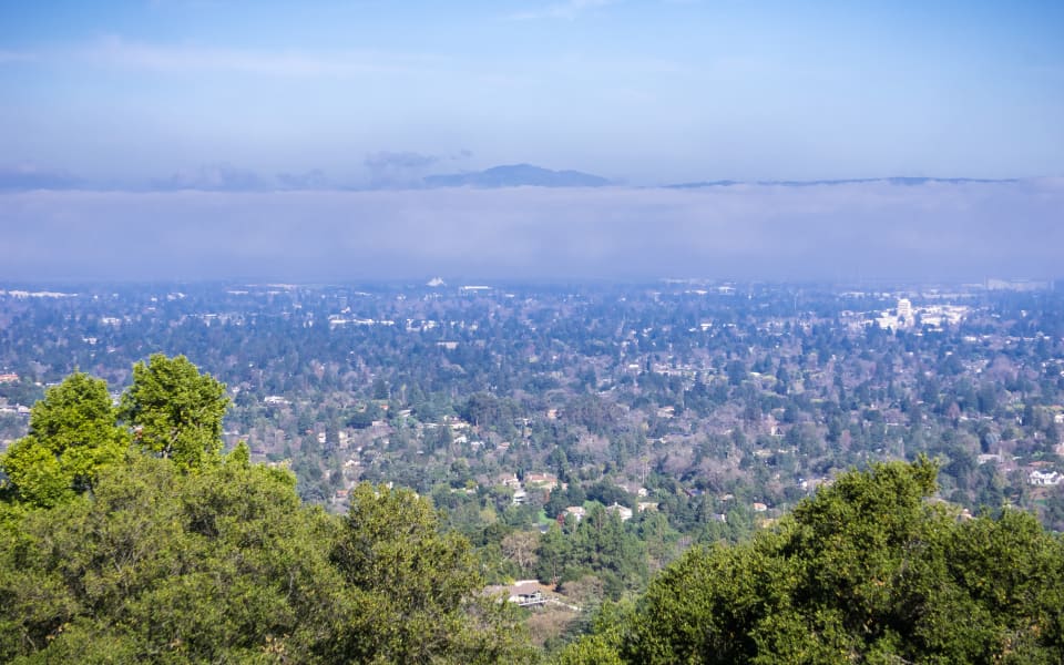 Los Altos Real Estate Community Guide Tamara Pulsts Homes