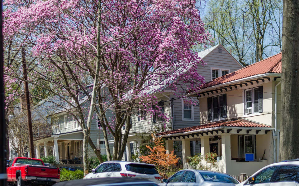 Woodley Park Neighborhood Guide Czuba Group