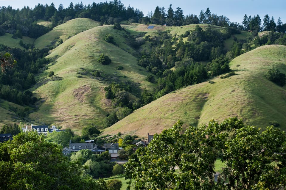 San Geronimo Marin County Real Estate Agent