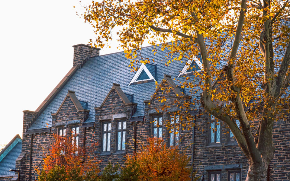 Bryn Mawr Neighborhood Guide Melissa Walter