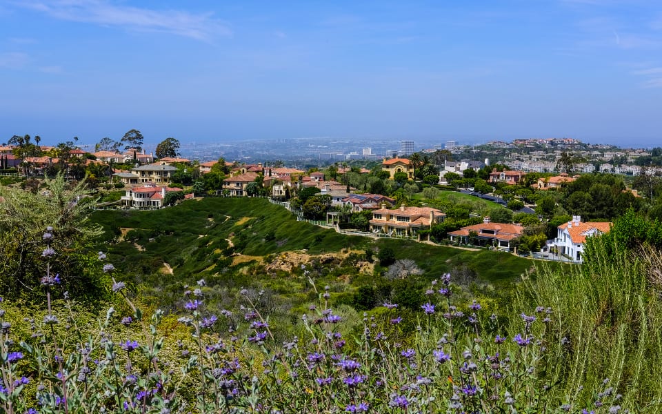 Laguna Hills Real Estate Homes for Sale in Laguna Hills Ashley