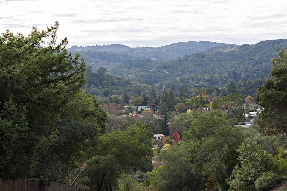 San Anselmo Polaris Realty