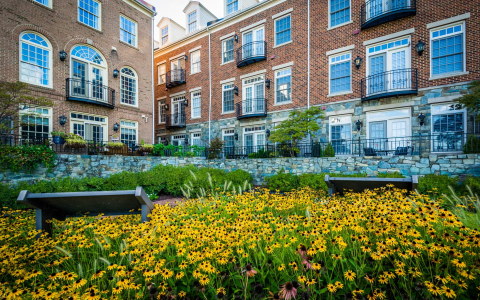 Alexandria City Real Estate Neighborhood Guide