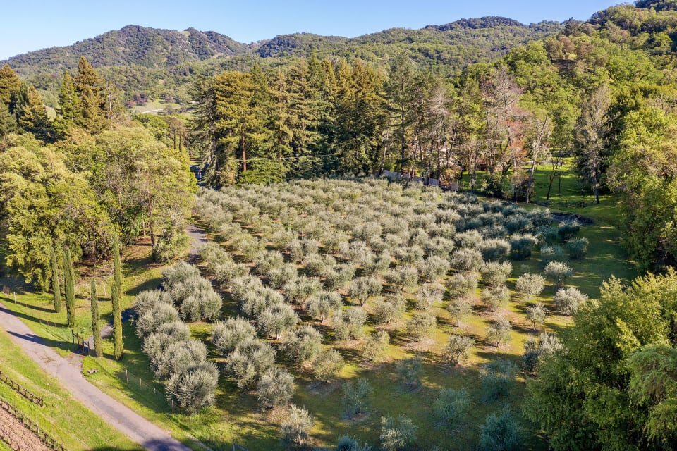 2002 McNab Ranch Rd. Kevin McDonald Sonoma & Mendocino County Real Estate