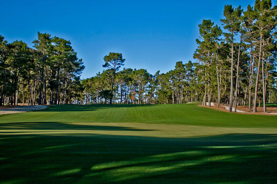 Poppy 2 Lot 14 The Pebble Beach Lots