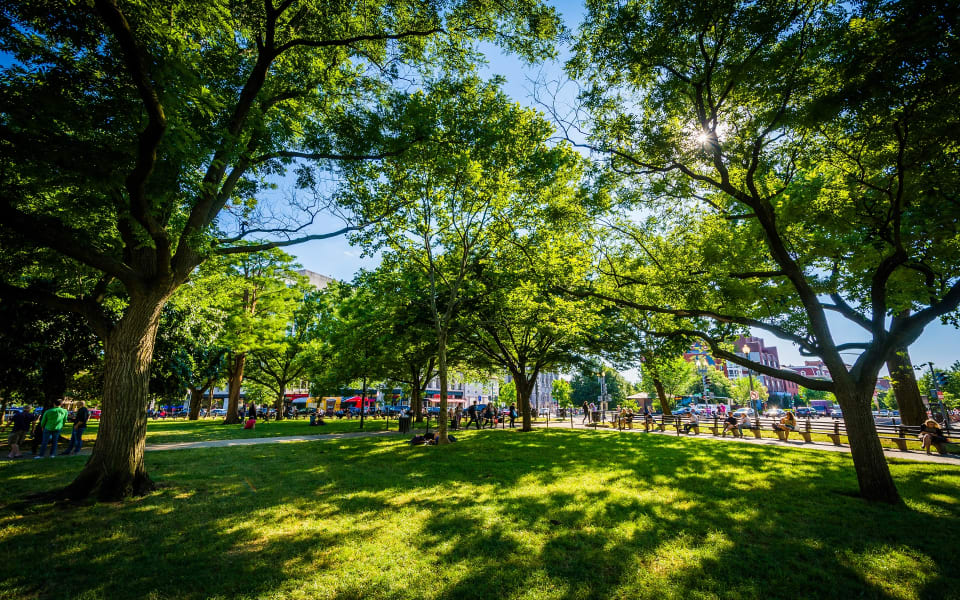 Dupont Circle Real Estate Community Guide CondoNest