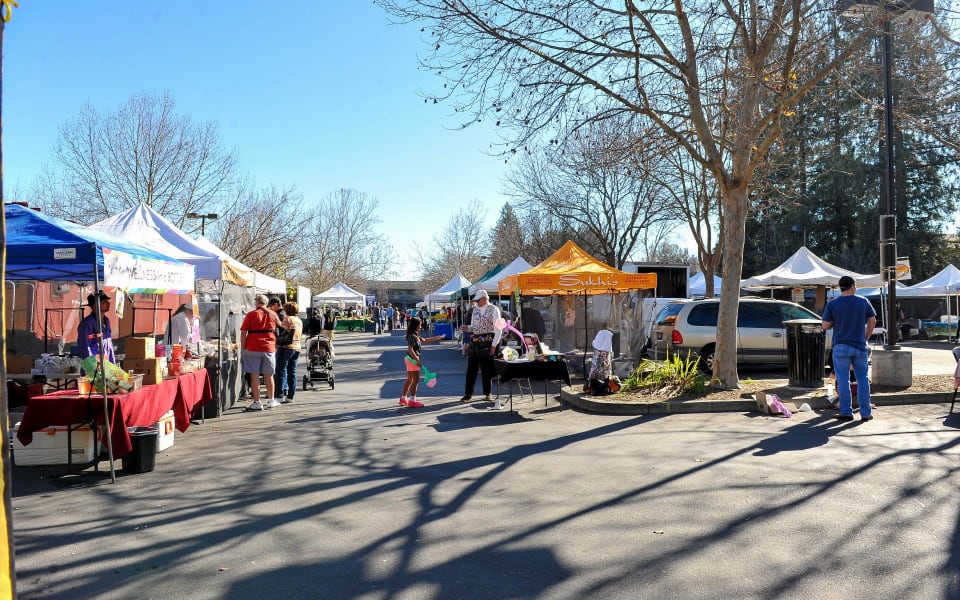 Greenbrook Community Guide The Gibbs Real Estate Group