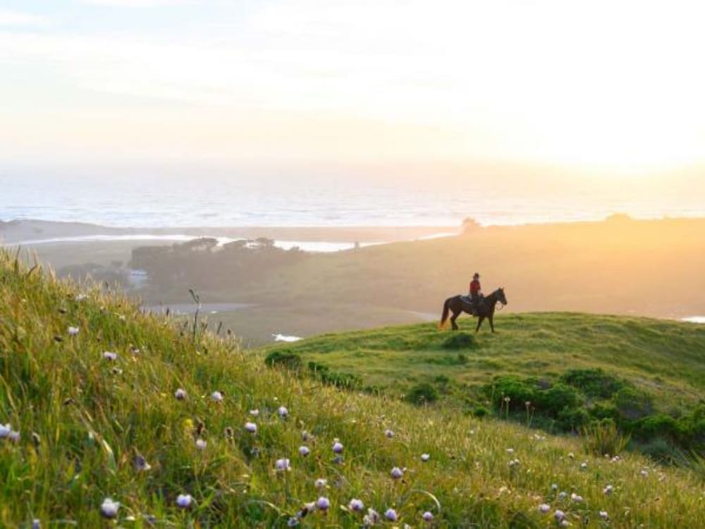 Horseback Riding