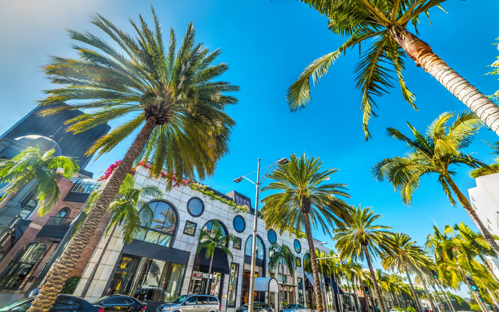 Palm Trees In Rodeo Drive At Night. Beverly Hills, California