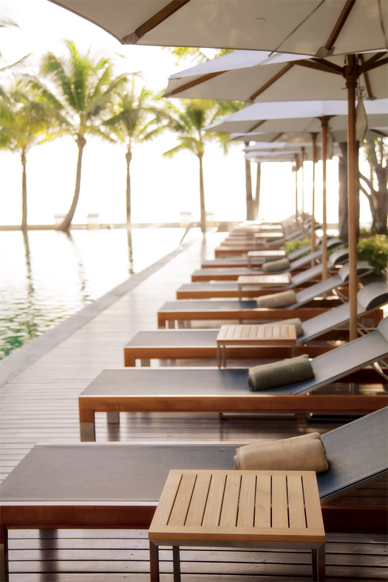 Tropical Properties Real Estate & Development business image