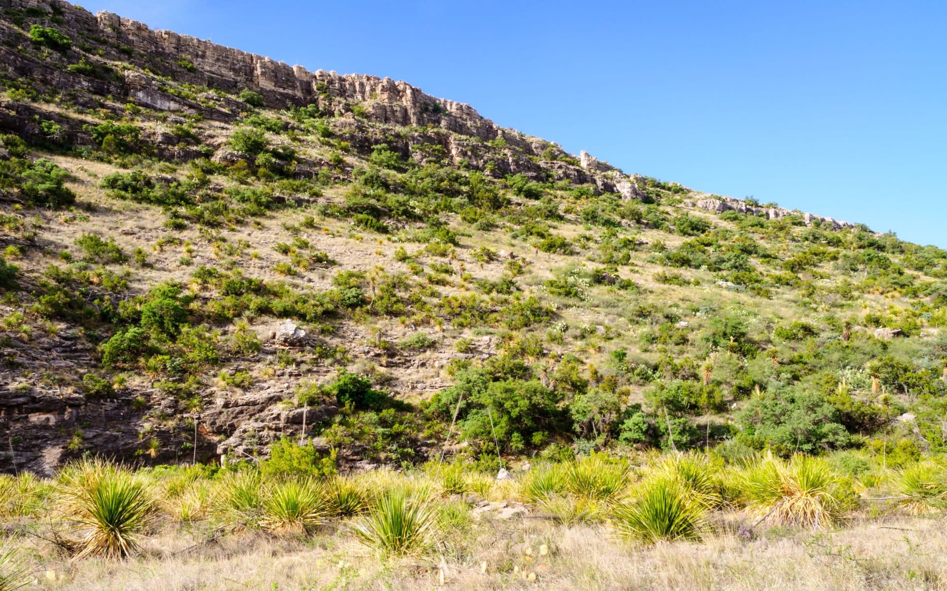 Cities New Mexico Real Estate Permian Real Estate