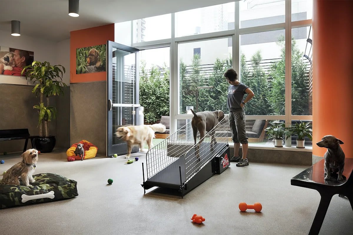 MiMA Related Rentals