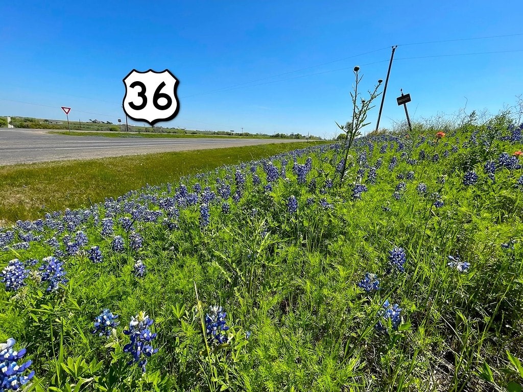 5.991-Acre Land with Scenic Pond on Highway 36 South, Brenham, TX - Tract 3