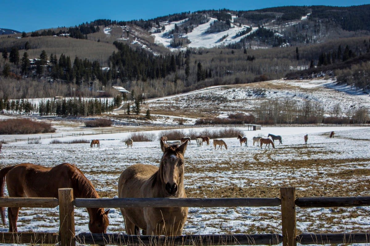 TBD Owl Creek Ranch Road Aspen, CO Saslove and Warwick